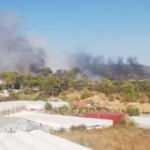 Antalya’nın Kumluca ilçesinde orman yangını çıktı!