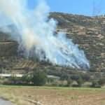 İzmir'de orman yangını!