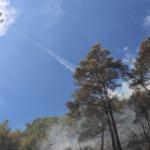 Marmaris'teki orman yangını kontrol altına alındı