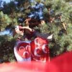 Mitingde yer bulamadılar! Ağaca tırmandılar