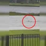 ABD'de Ian Kasırgasından korkun&ccedil; g&ouml;r&uuml;nt&uuml;ler: K&ouml;pek balığı şehrin ortasına geldi