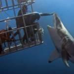 Bu fotoğraflar biraz başka! İşte tekrar tekrar bakacağınız o anlar...