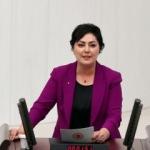 MHP'den "Kültür taşıyıcıları" hamlesi... "Kanun teklifimizi Meclis'e sunduk"