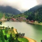 Yemyeşil Trabzon gezisi Gündüz Gece’de