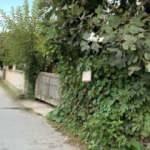 Bu bah&ccedil;enin &ouml;n&uuml;nden ge&ccedil;en canı istediği kadar meyve yiyebiliyor