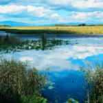 D&uuml;zce'deki bu g&ouml;l eşsiz g&uuml;zelliğiyle g&ouml;renleri kendisine hayran bırakıyor