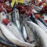 Denizlerin prensi lüfer kilosu 320 liradan satılıyor