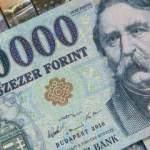Macaristan merkez bankasından 'acil faiz artışı'