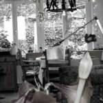 Zeka testi: Odadaki gizli kediyi 7 saniyede bulan dünya rekoru kırıyor! Dünyada 10 kişiden sadece 1'i bulabiliyor