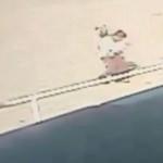 Başıboş 7 sokak köpeği çocuğa saldırdı, işte korku dolu o anlar!