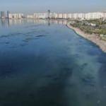 İzmir'den yine pis kokular geliyor... Bostanlı sahilinde yeniden ortaya çıktı