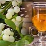 Ökse otu faydaları nelerdir? Ökse otu nasıl kullanılır?