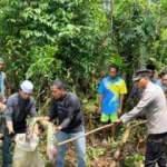 6 metrelik piton, 54 yaşındaki kadını yedi