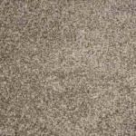 Yalnızca dâhilerin çözdüğü zeka testi: Gizli örümceği 5 saniyede bul!