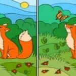 Zeka testi: 12 farkı  27 saniyede bulan neredeyse yok!