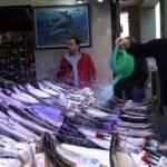Trabzon'da balıkçıların tezgahlarında palamut bolluğu yaşanıyor
