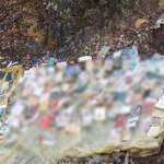 Tunceli'de PKK'lı teröristlerin inleri imha edildi