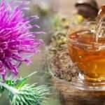 Dulavrat otu faydaları nelerdir? Dulavratotu cilde nasıl uygulanır? 