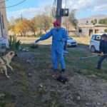 Kuduz tanısı konan çocuğun babası konuştu!