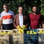 Adana’da portakal hasadı başladı, bahçede kilosu 10-12 lira