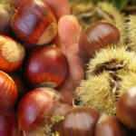 Rüyada kestane görmek ne demek? Rüyada kestane yemek iyiye mi kötüye mi işaret eder?