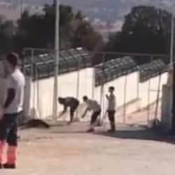 Emine Erdoğan'dan Konya'da hayvan barınağındaki vicdansızlığa tepki