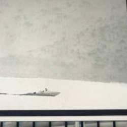 9 FETÖ'cü ile 8 organizatör Yunan adalarına kaçmaya çalışırken yakalandı