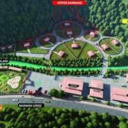 Başıboş hayvanlar için barınak projesi hazır