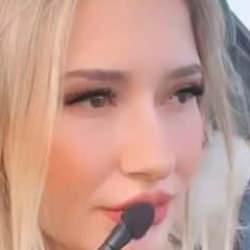 Bursa'da u&ccedil;ağın d&uuml;şmeden &ouml;nce kokpitten &ccedil;ekilen g&ouml;r&uuml;nt&uuml;leri ortaya &ccedil;ıktı