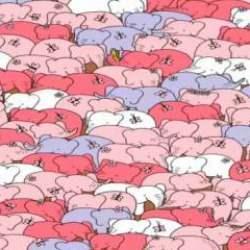 Göz yorucu zeka testi: İnsanların %90'ı 9 saniyede gizlenmiş kalbi bulamıyor!