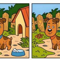 Gözleri yoran zeka testi: Konsantrasyonu tam olan testi çözer!