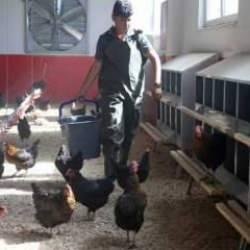 S. Arabistan ve G. Kore'den Türkiye'ye geldiler! Siparişler bekleniyor