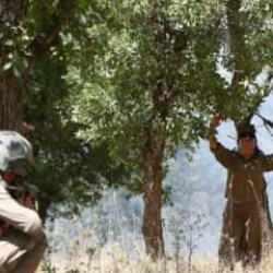 Terör örgütleri PKK ile MLKP dağılma sürecinde! Teslim oldular