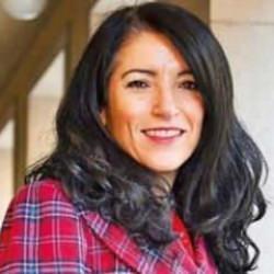 T&uuml;rkiye'nin Pen&ccedil;e Kılı&ccedil; ile PKK'yı vurması İsve&ccedil;'teki ter&ouml;rist vekili &ccedil;ıldırttı