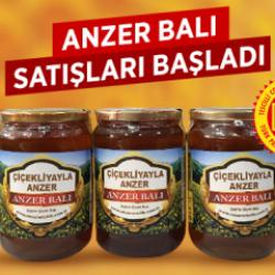 Coğrafi işaretli Anzer Balı raflardaki yerini aldı