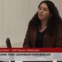 Skandal a&ccedil;ıklamalar! PKK destek&ccedil;isi HDP'li vekil savunmaya ayrılan b&uuml;t&ccedil;eyi eleştirdi!