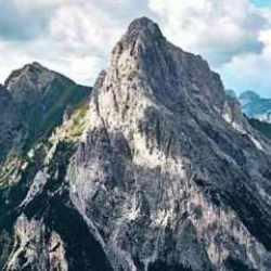 Zeka testindeki kartalı Beşiktaşlılar bile bulamıyor! Gizli kartalı 10 saniyede bul