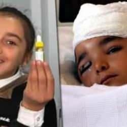 Başıboş köpek dehşeti bitmiyor! Şilan hayatını kaybetti, Nihatcan'ın saç derisi koptu