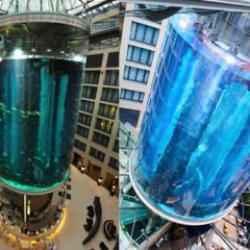 Berlin'deki devasa akvaryum patladı