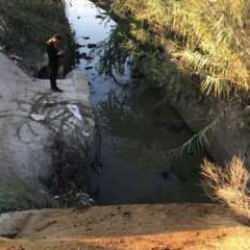 &Ccedil;uvallara doldurulmuş eşek başı ve kemikleri bulundu