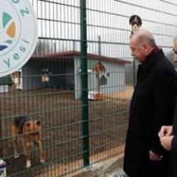 Erdoğan'ın açıklamasının ardından peş peşe algı operasyonları! Şimdi de Beykoz hedefte