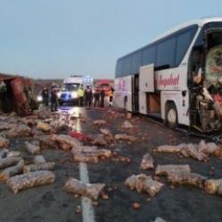 Kamyon ile otob&uuml;s &ccedil;arpıştı: Kamyon şof&ouml;r&uuml; &ouml;l&uuml;rken iki yolcu yaralandı
