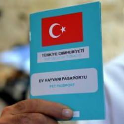 1 milyon 104 bin ev hayvanı kayıt altına alındı