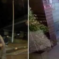 Dünya başıboş köpek sorununa karşı hangi önemleri alıyor? Türkiye'de bir yılda çok sayıda kişi öldü