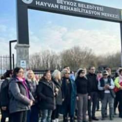 Sözde hayvansever gruplar kaos peşinde! "Nerede bir toplama varsa çatışacağız"