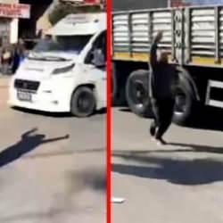 Adana&rsquo;da trafikte cinayet: Tır şof&ouml;r&uuml; tartıştığı dolmuş şof&ouml;r&uuml;n&uuml; silahla &ouml;ld&uuml;rd&uuml;