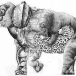 Matruşka gibi zeka testi: 15 saniyede filin içinde kaç hayvan göreceksiniz?