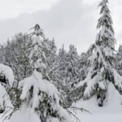 Meteoroloji 41 ili uyardı: Yoğun kar alarmı!