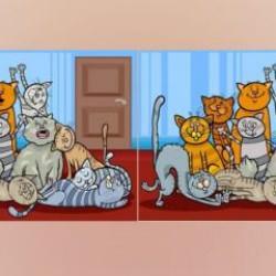 Şahin gözlülerin bulduğu zeka testi: 35 saniyede 10 farkı sadece yüksek zekalılar bulabiliyor!