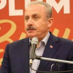 Şentop, İsveçli mevkidaşıyla görüştü: Gereğini yapın